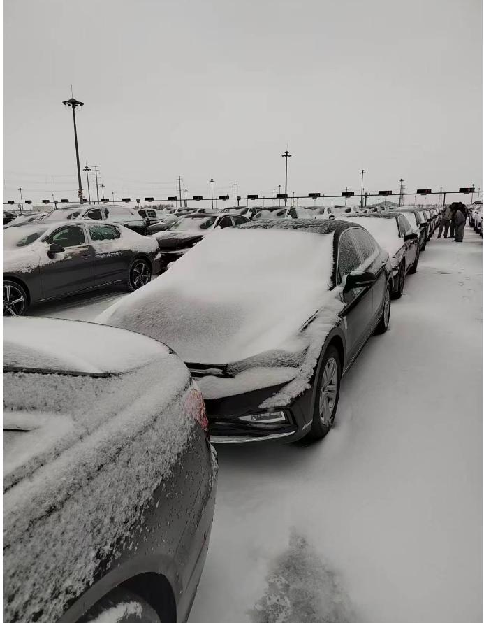 迎戰(zhàn)極端天氣，彰顯專業(yè)擔(dān)當(dāng)|我司獲中鐵特貨沈陽分公司業(yè)務(wù)表揚(yáng)